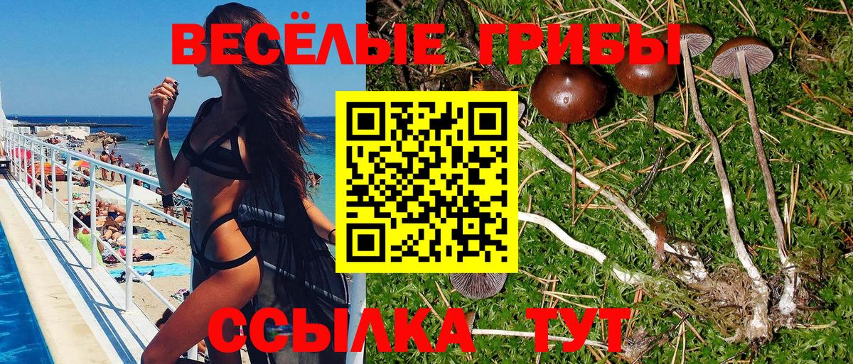 Псилоцибиновые грибы Psilocybe Радужный